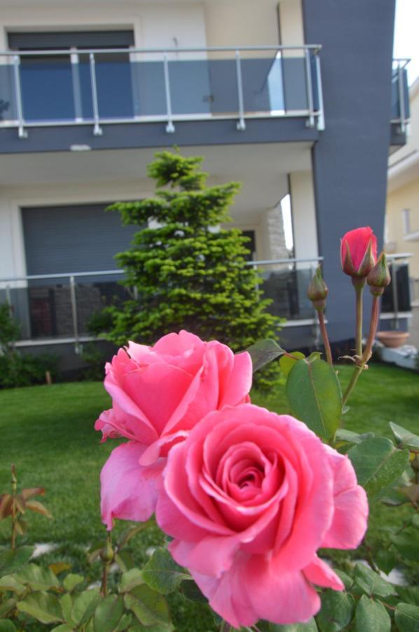 B&B La Rosa Dei Venti Altamura Exterior foto