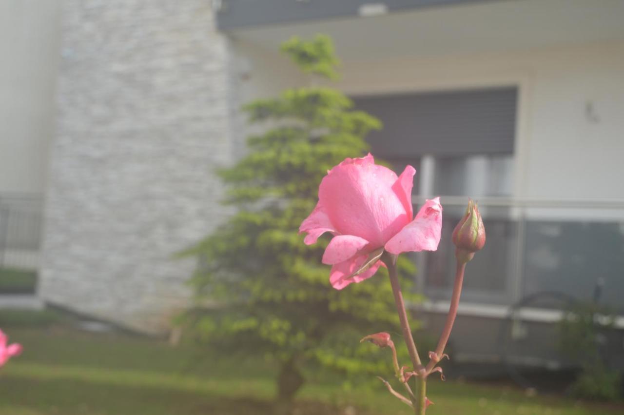 B&B La Rosa Dei Venti Altamura Exterior foto